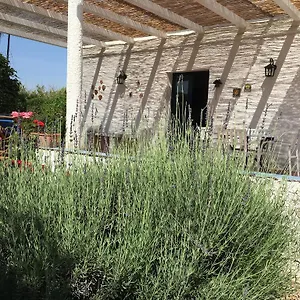 Casa Dei Limoni Casa vacanze